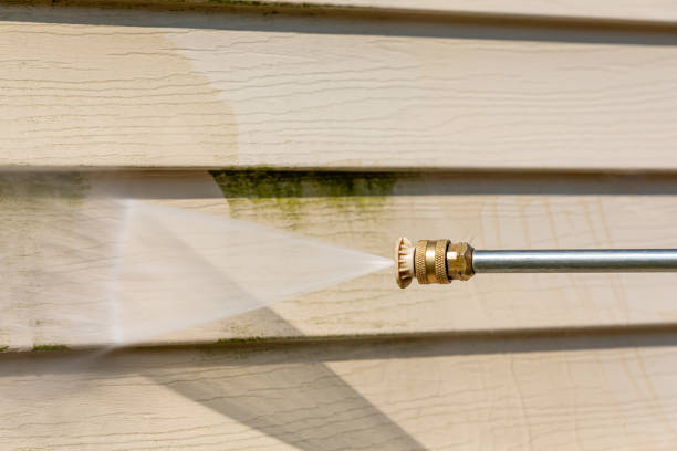 Best Roof Power Washing Services  in El Cenizo, TX